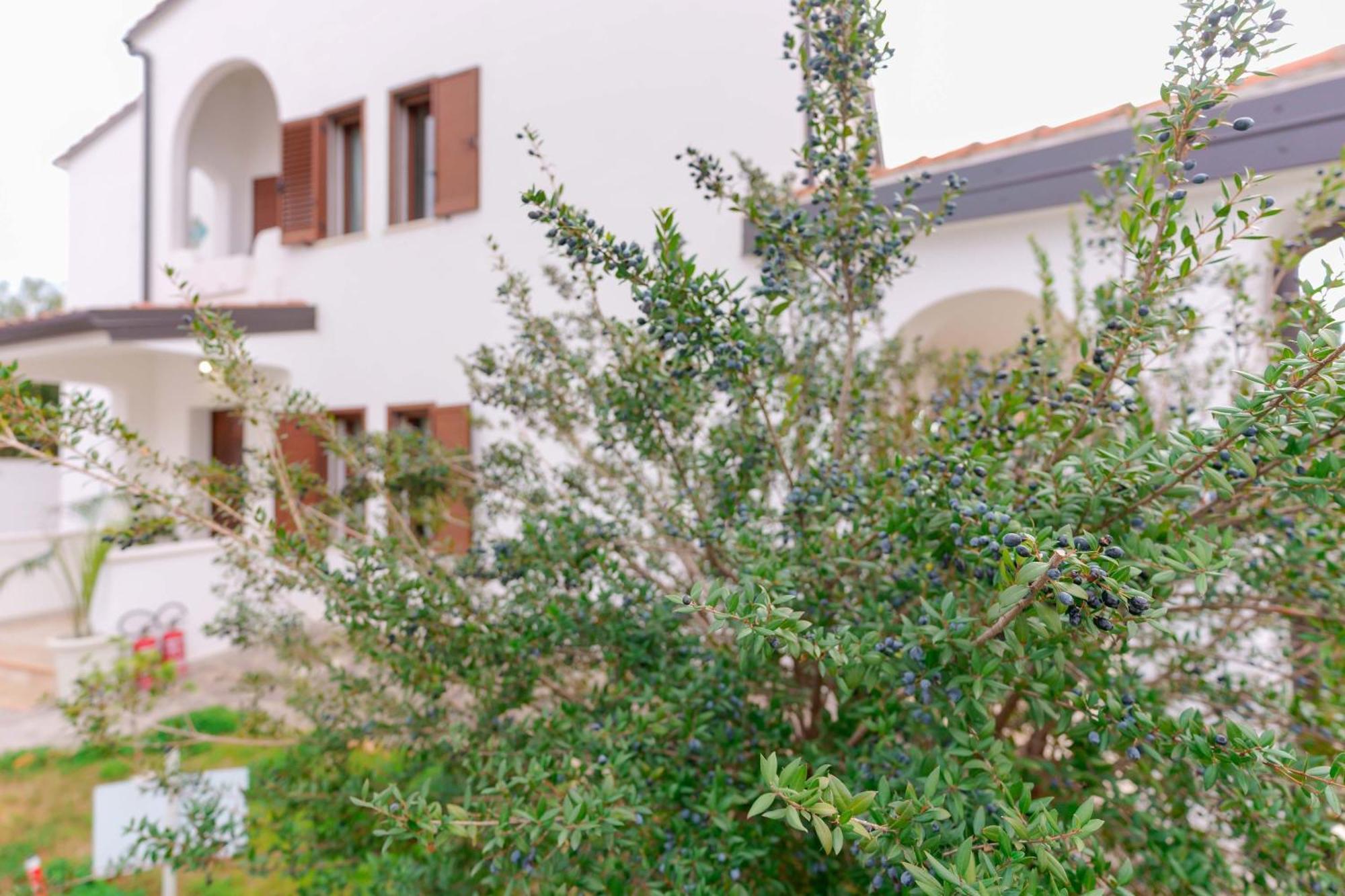 Villa Wunjo Iun R3267 La Maddalena (Cagliari) Exterior foto
